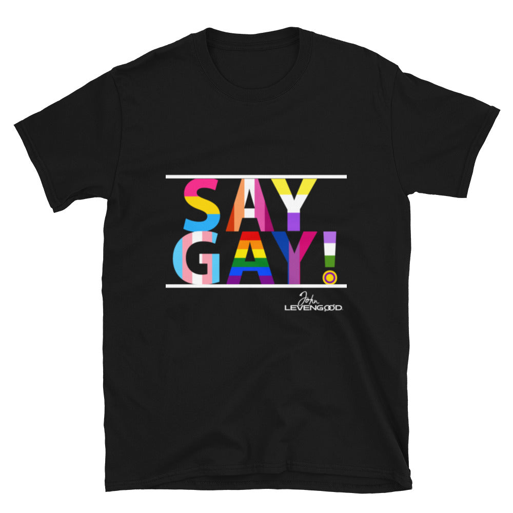 Say Gay! LGBTQ+ Pride Tee